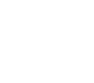 Build a Bridge_Logo
